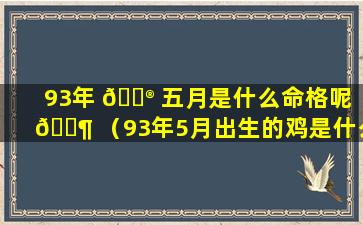 93年 💮 五月是什么命格呢 🐶 （93年5月出生的鸡是什么命）